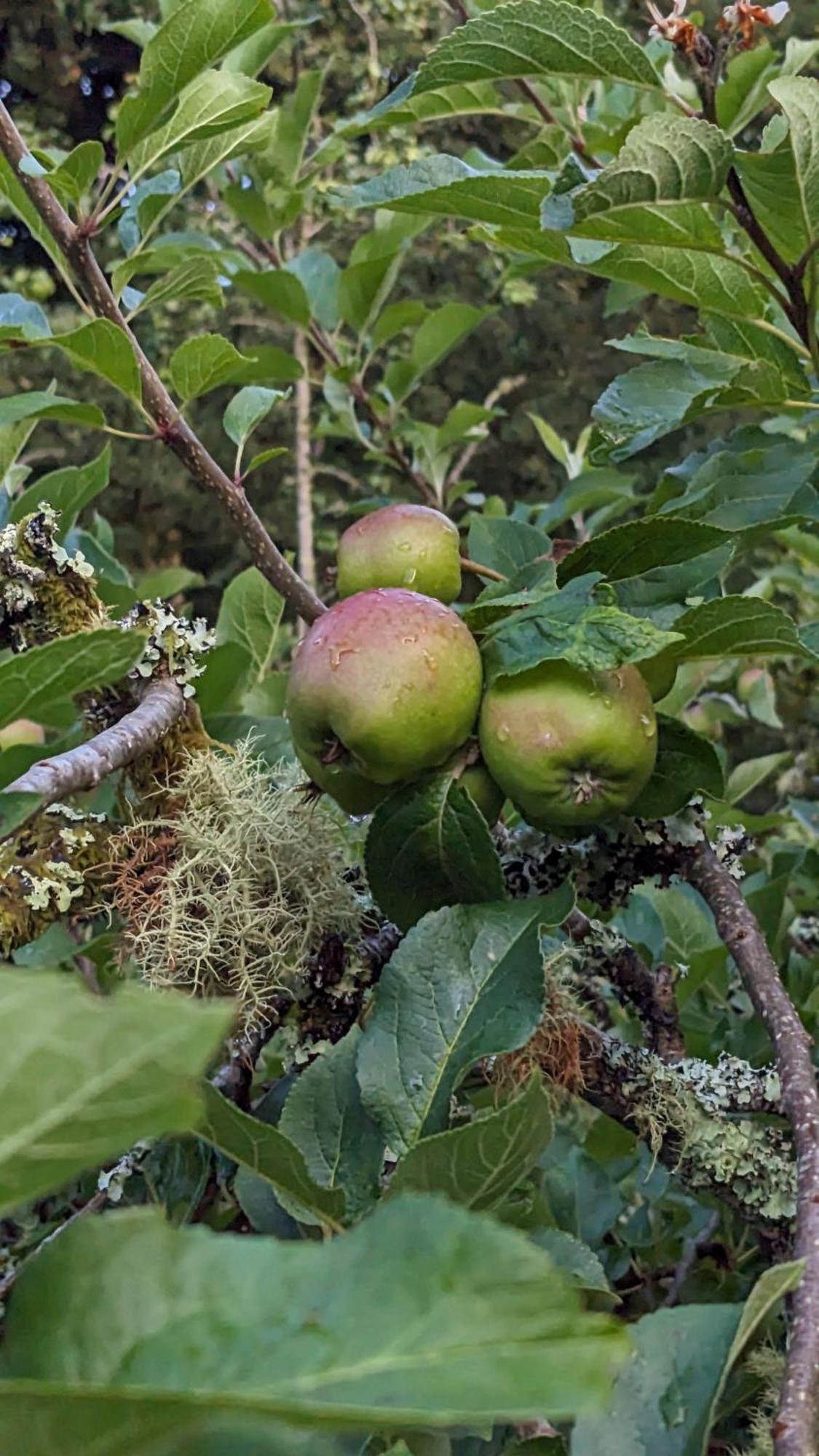 The Applehay Constantine Exterior foto
